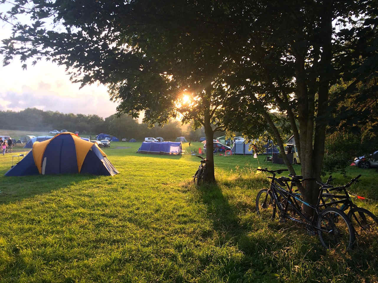 Cuckoo Farm Campsite