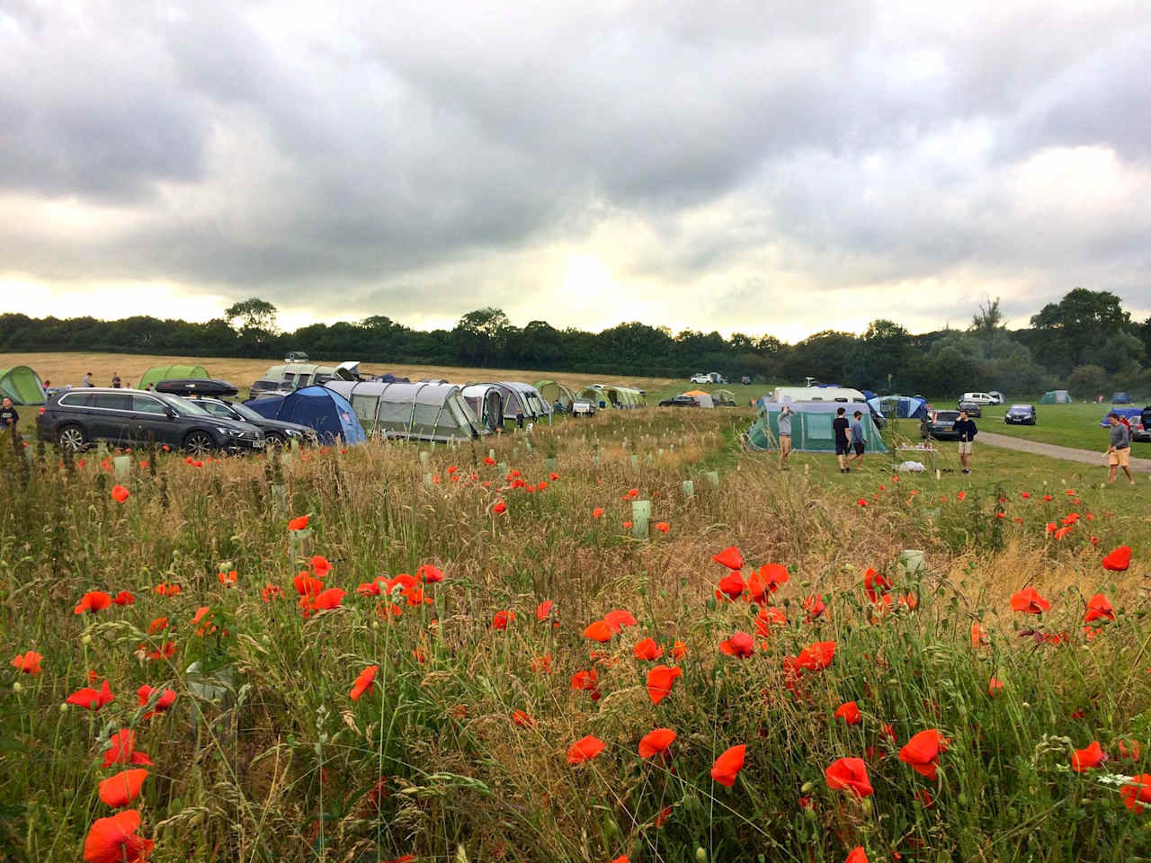 Cuckoo Farm Campsite