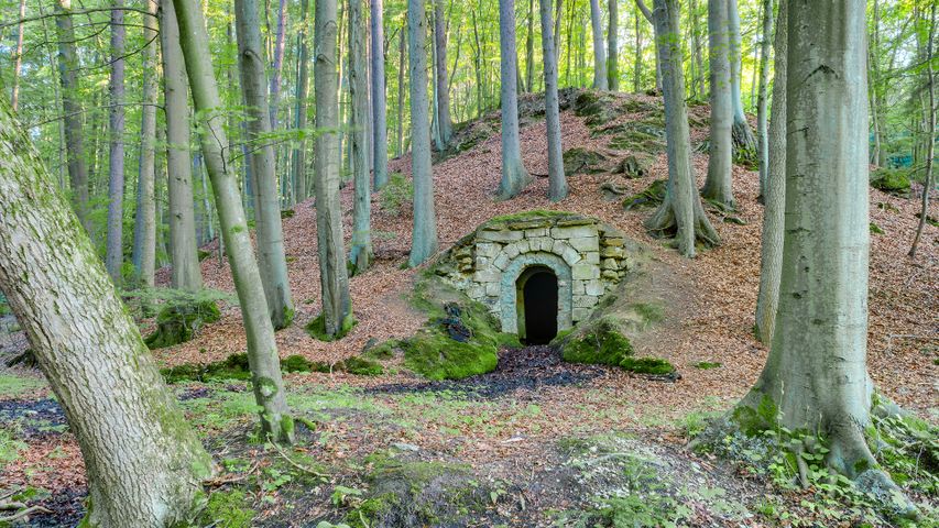 Weinkeller im Bayerischen Wald