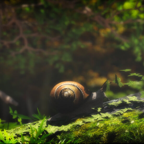 Snail