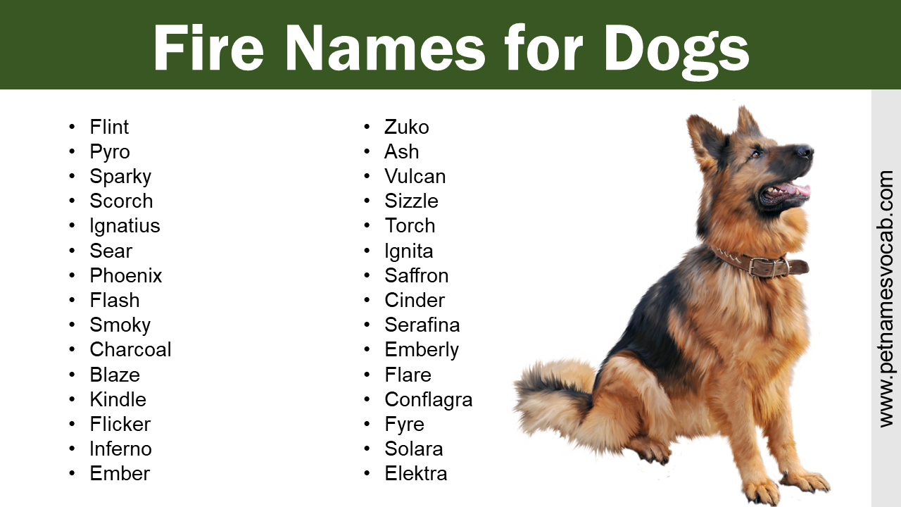 List of Fire Names for Dogs - Pet Names Vocab