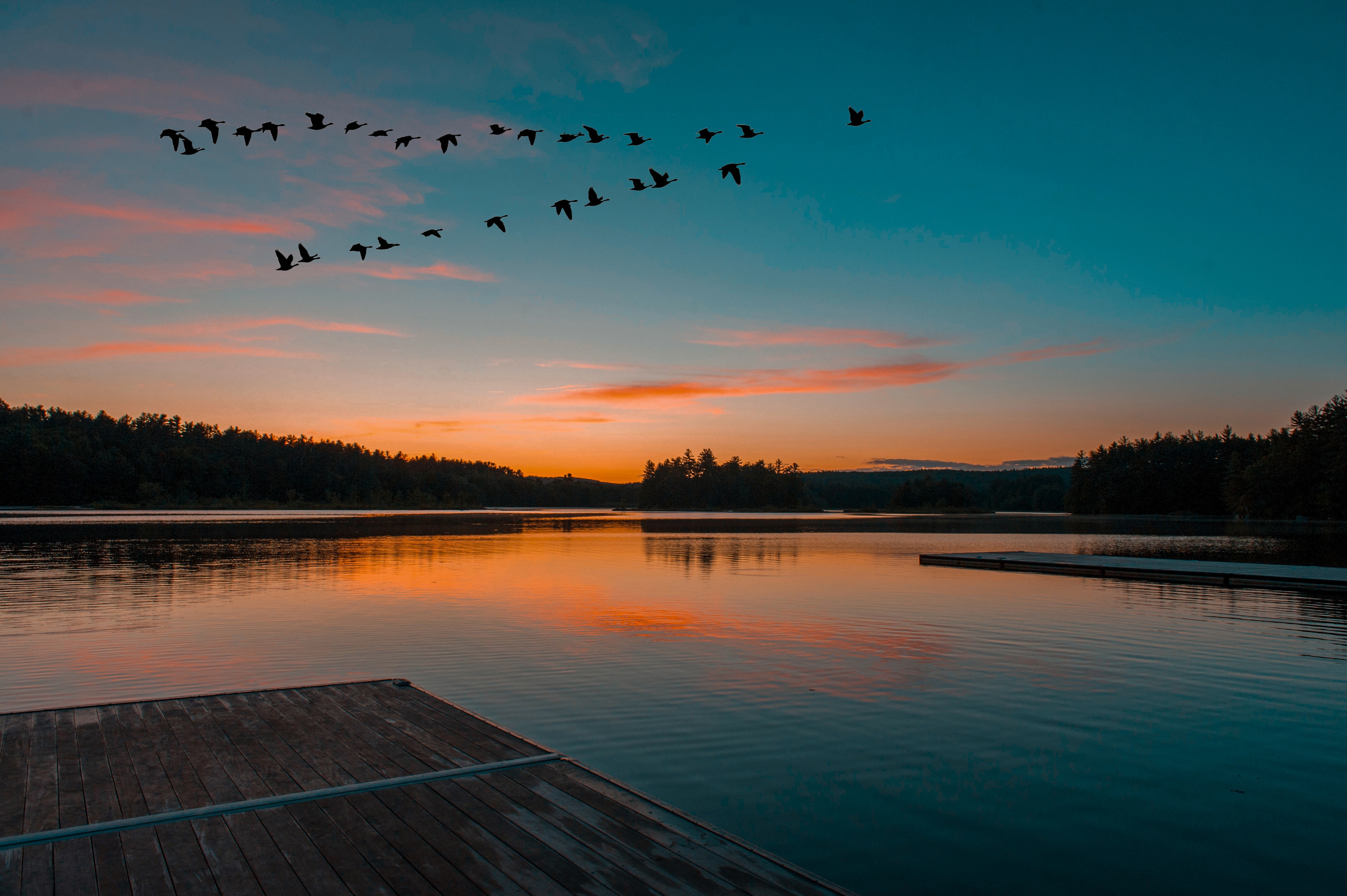 103210 télécharger l'image nature, coucher de soleil, lac, vol, oiseaux, horizon - fonds d'écran et économiseurs d'écran gratuits