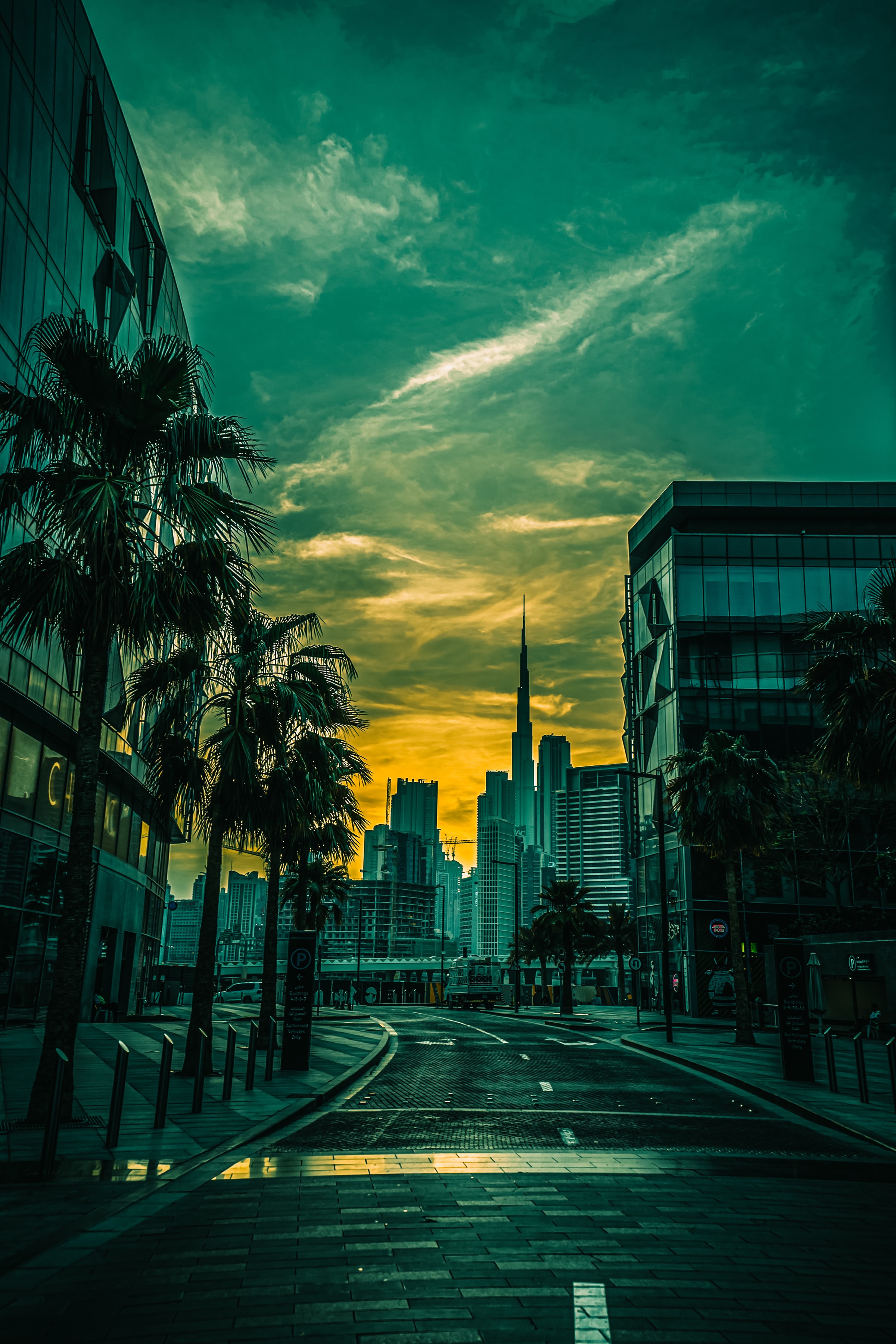 cities, palms, architecture, city, building Full HD