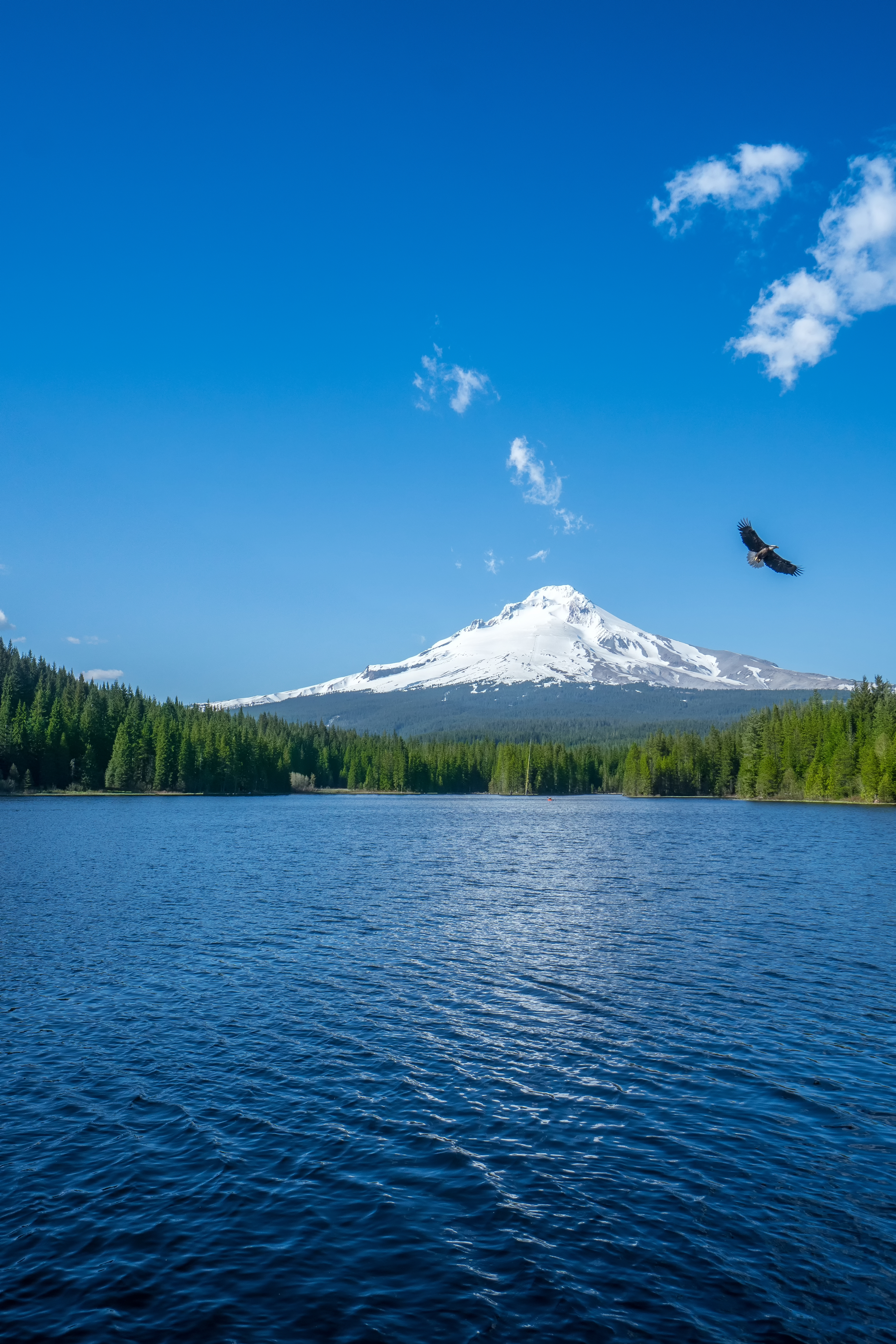 106821 Fondos de pantalla e Lago imágenes en el escritorio. Descarga protectores de pantalla  en tu PC gratis