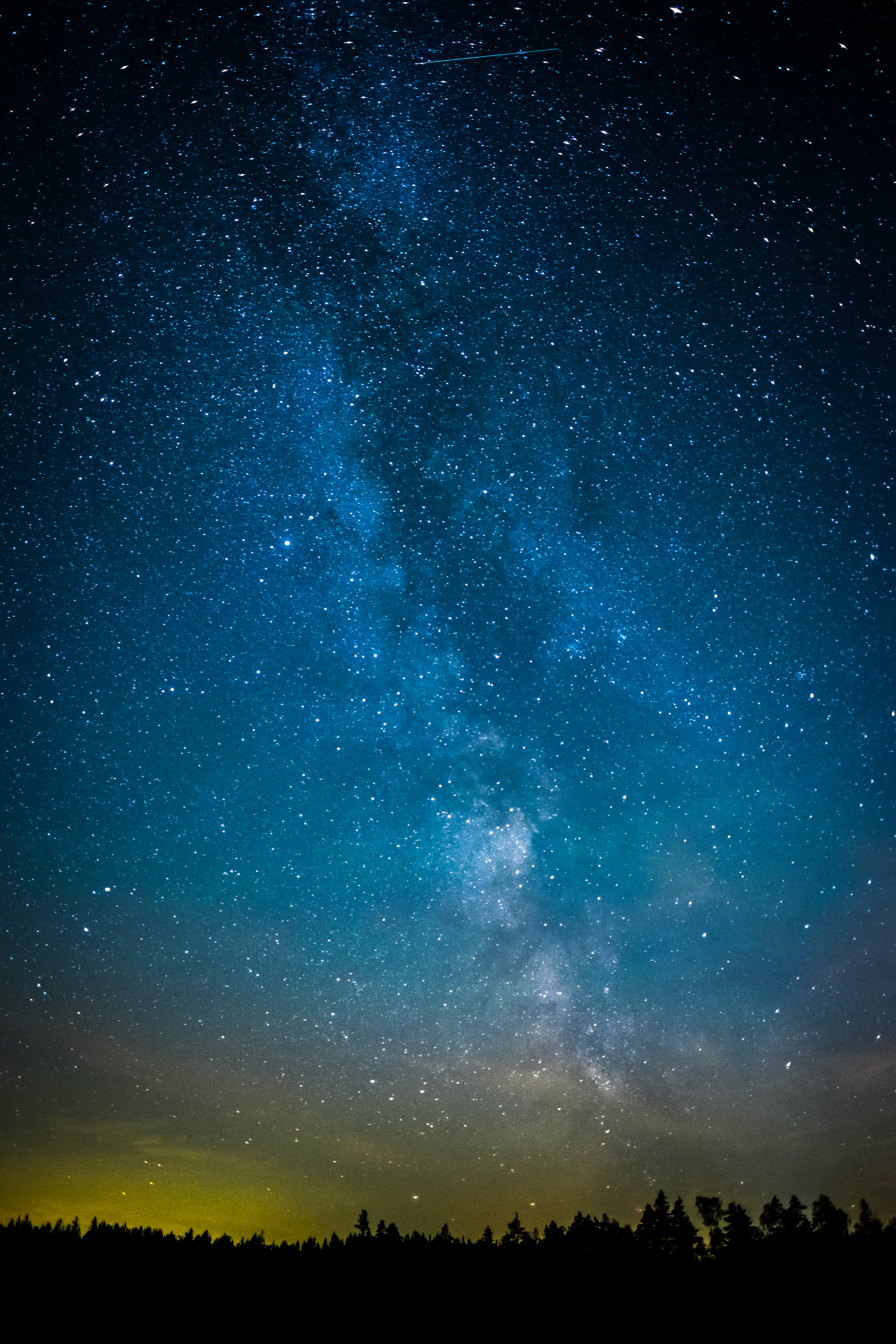 stars, dark, universe, trees, starry sky