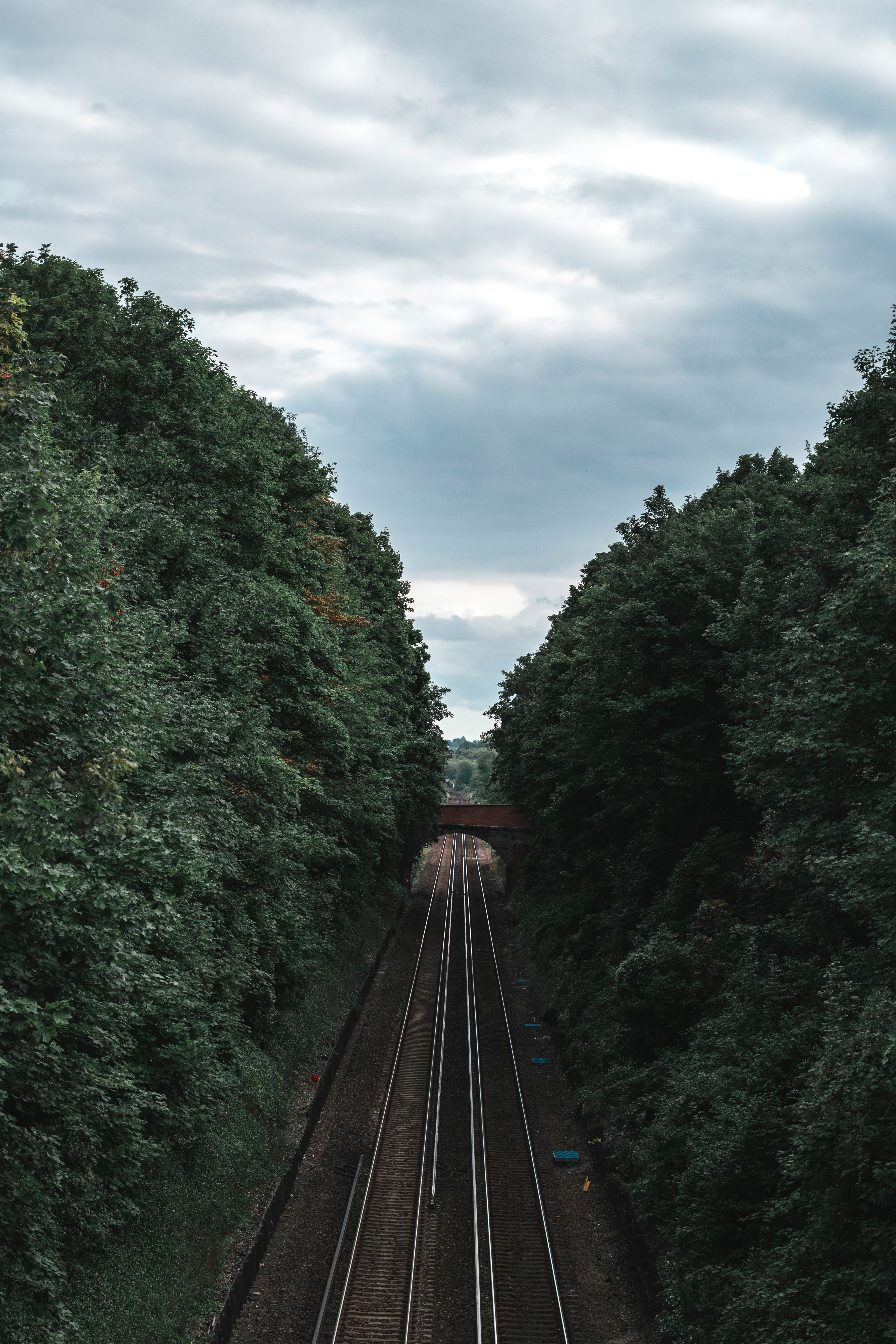 104710 télécharger l'image arbres, divers, couloir, corridor, chemin de fer, tunnel, rails - fonds d'écran et économiseurs d'écran gratuits