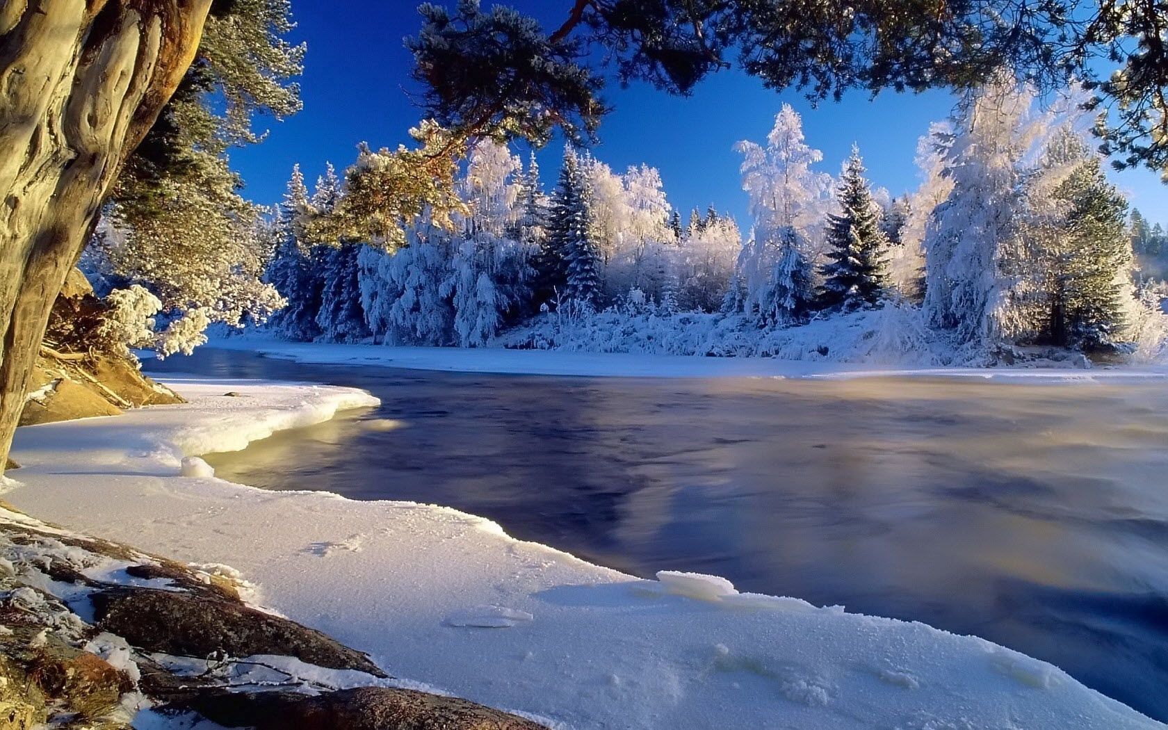 122633 télécharger l'image nature, givre, gel, arbres, rivières, glace, couler, les rives, rivage - fonds d'écran et économiseurs d'écran gratuits