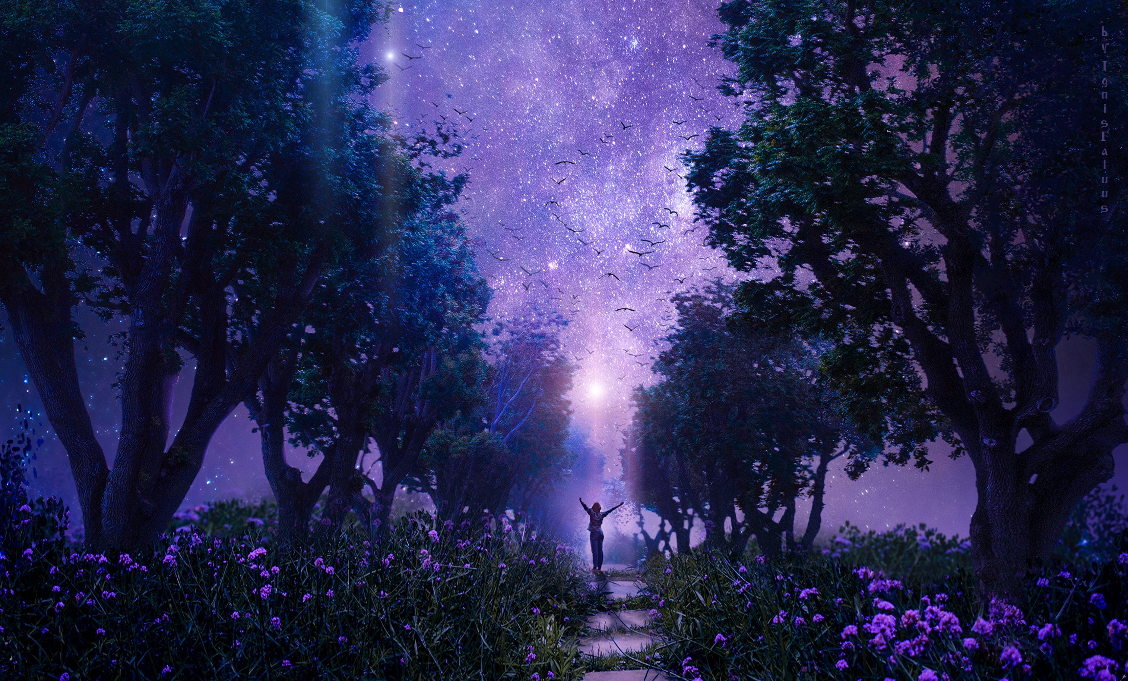 fairy, starry sky, fabulous, art, fantasy, purple, violet, forest Phone Background