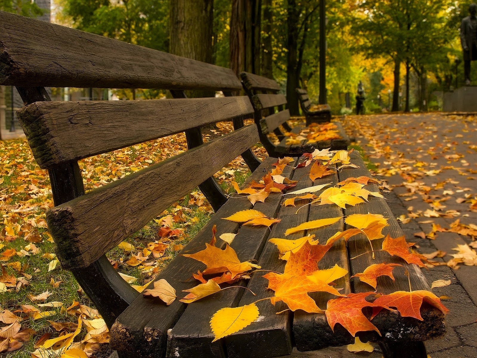 33410 télécharger l'image feuilles, paysage, automne - fonds d'écran et économiseurs d'écran gratuits