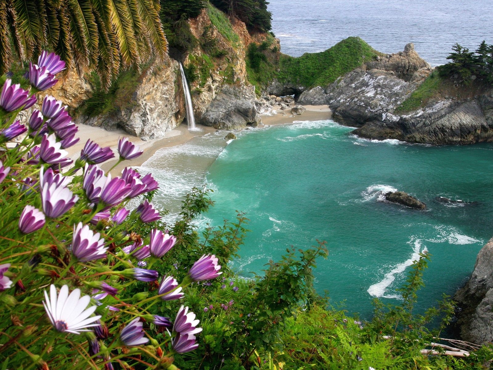 5315 télécharger l'image paysage, mer, plage, fleurs - fonds d'écran et économiseurs d'écran gratuits