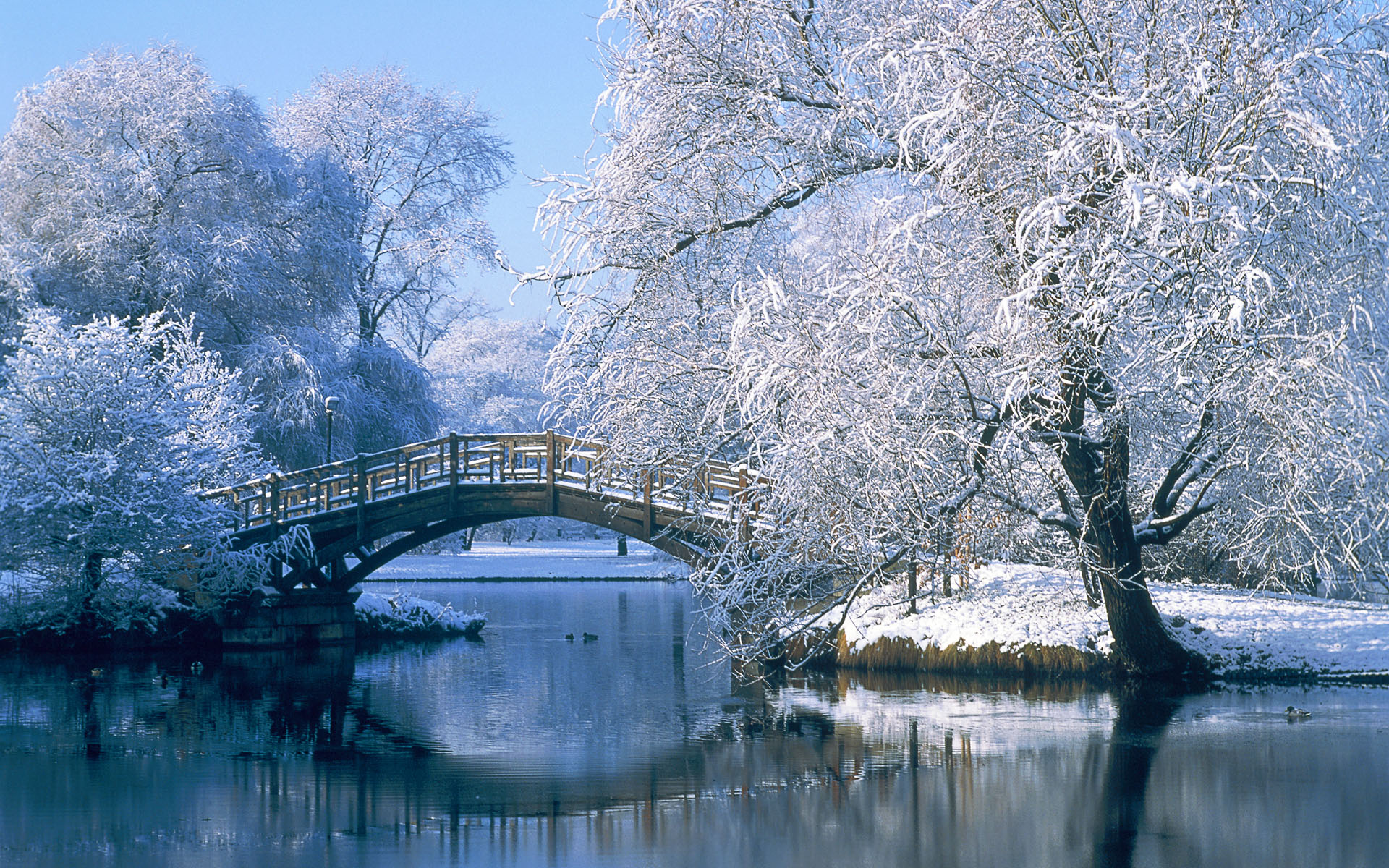 158378 télécharger l'image hiver, réflection, arbre, photographie, neiger, pont, étang, eau, paysage - fonds d'écran et économiseurs d'écran gratuits