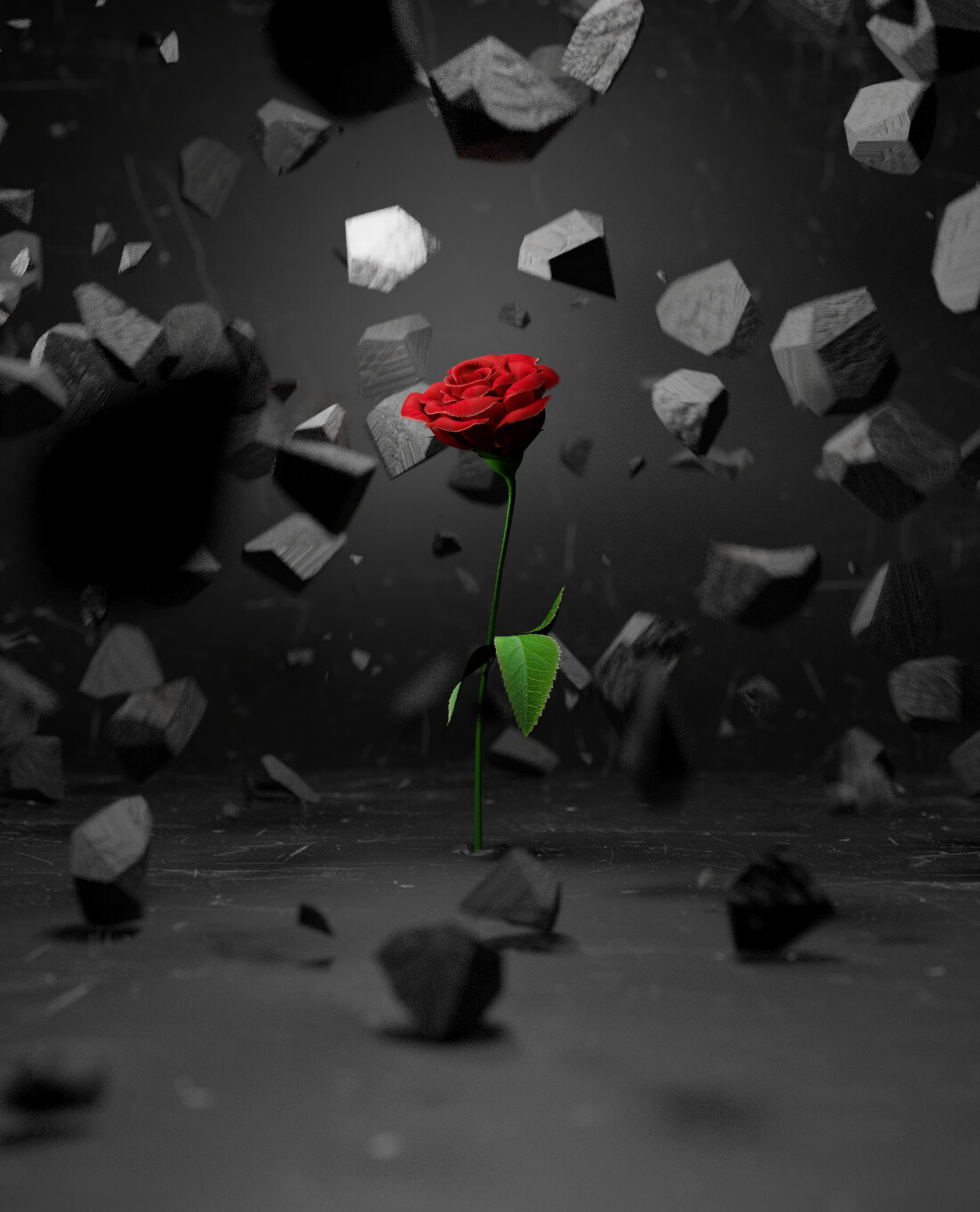 85736 télécharger le fond d'écran fleur, rouge, une rose, 3d, noyaux, rose, fragments, miettes - économiseurs d'écran et images gratuitement