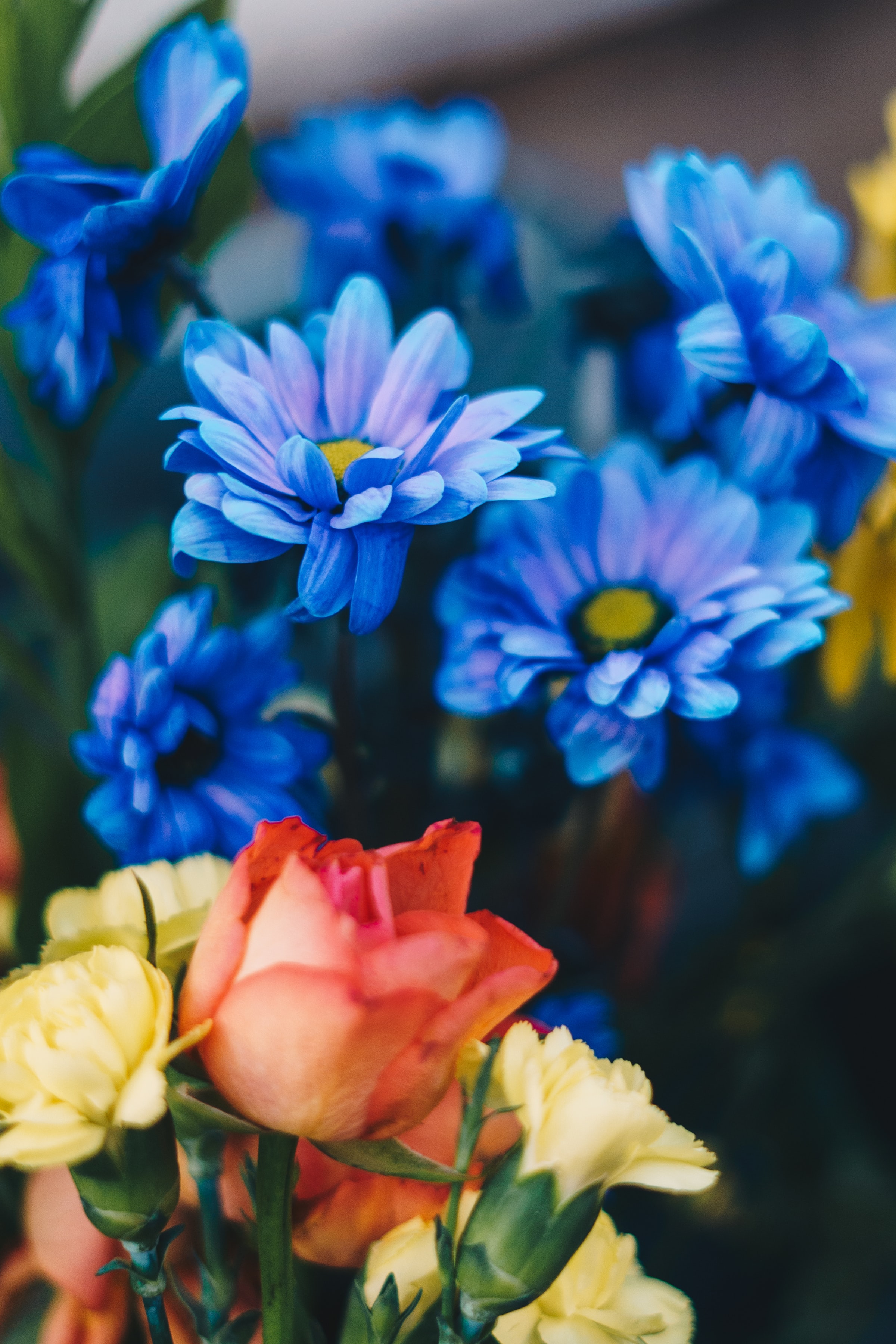 Meilleurs fonds d'écran Bouquet pour l'écran du téléphone