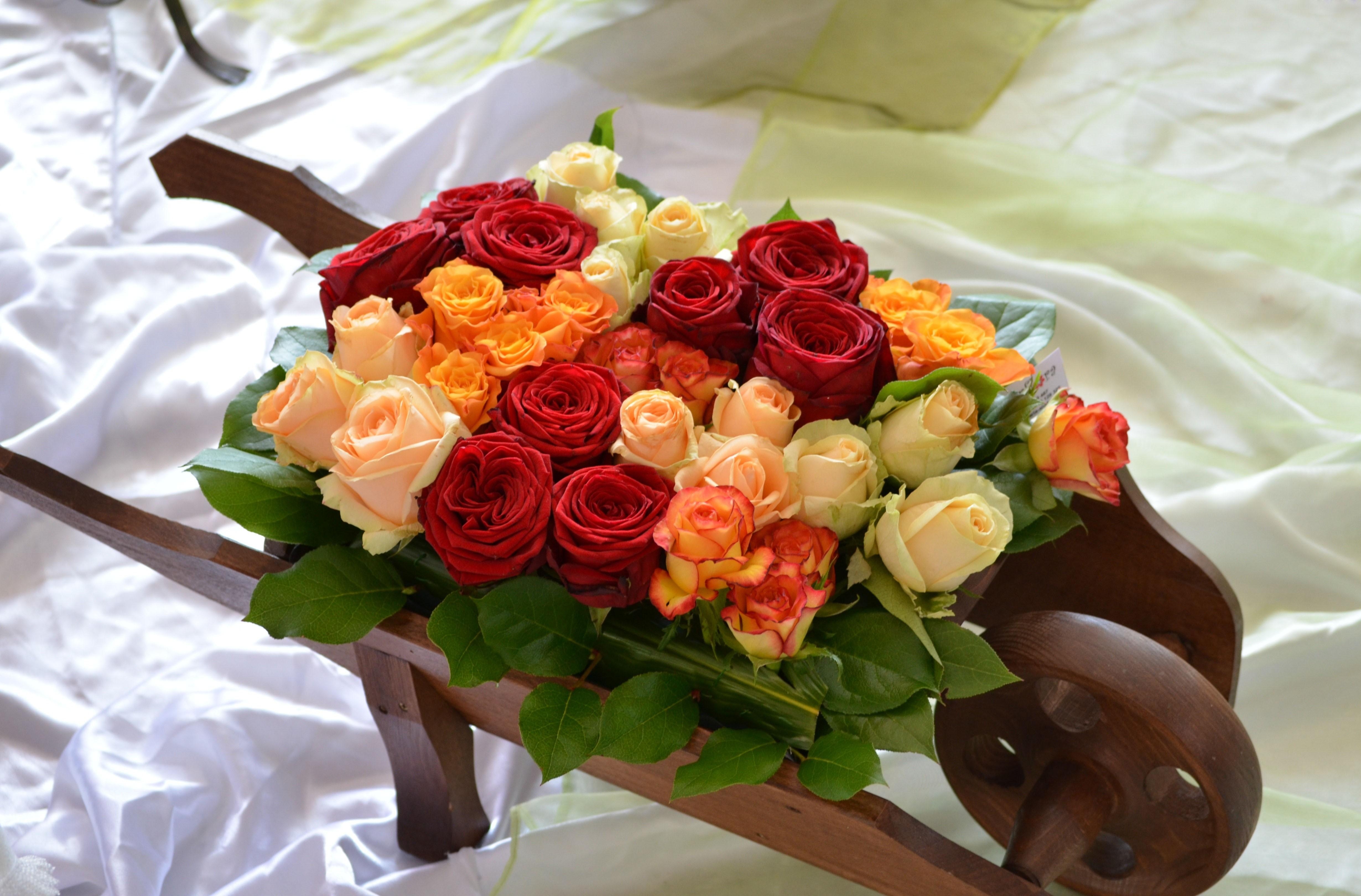 bed, flowers, roses, buds, note, different, cart 2160p