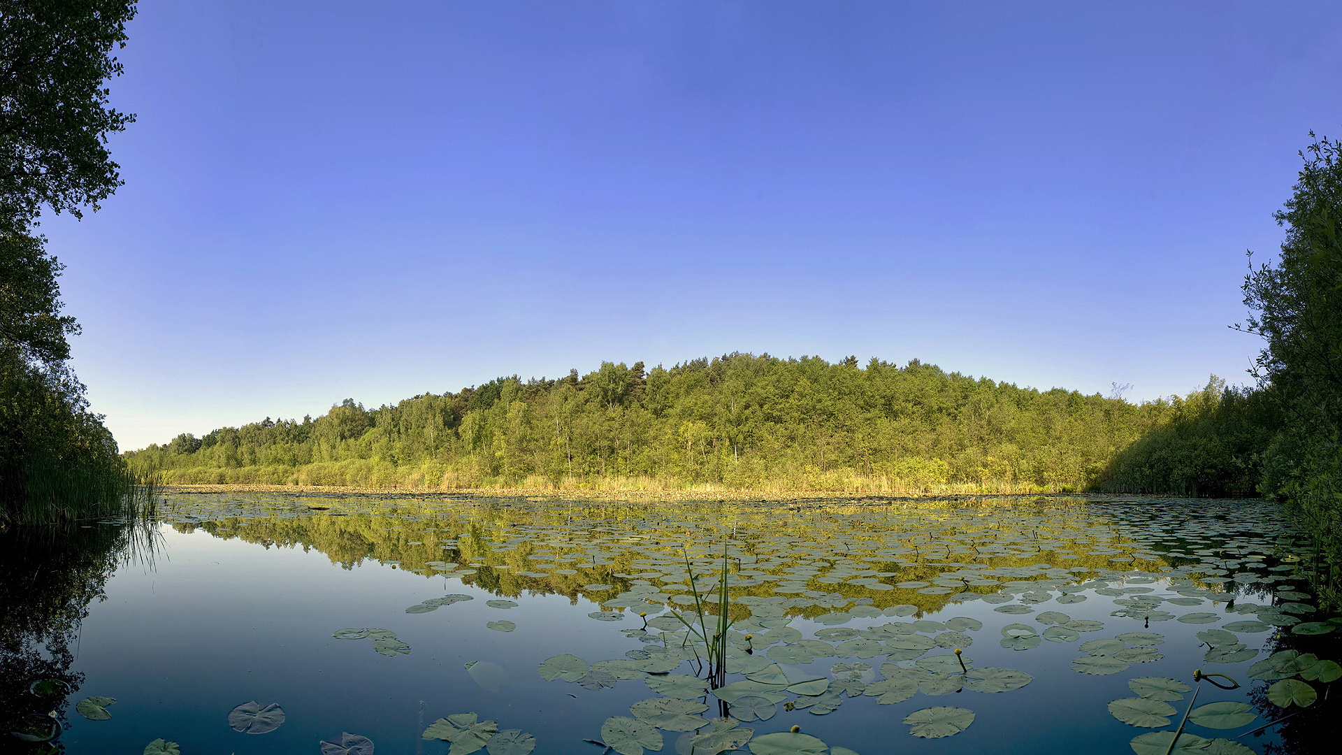 241629 Fondos de pantalla e Lago imágenes en el escritorio. Descarga protectores de pantalla  en tu PC gratis