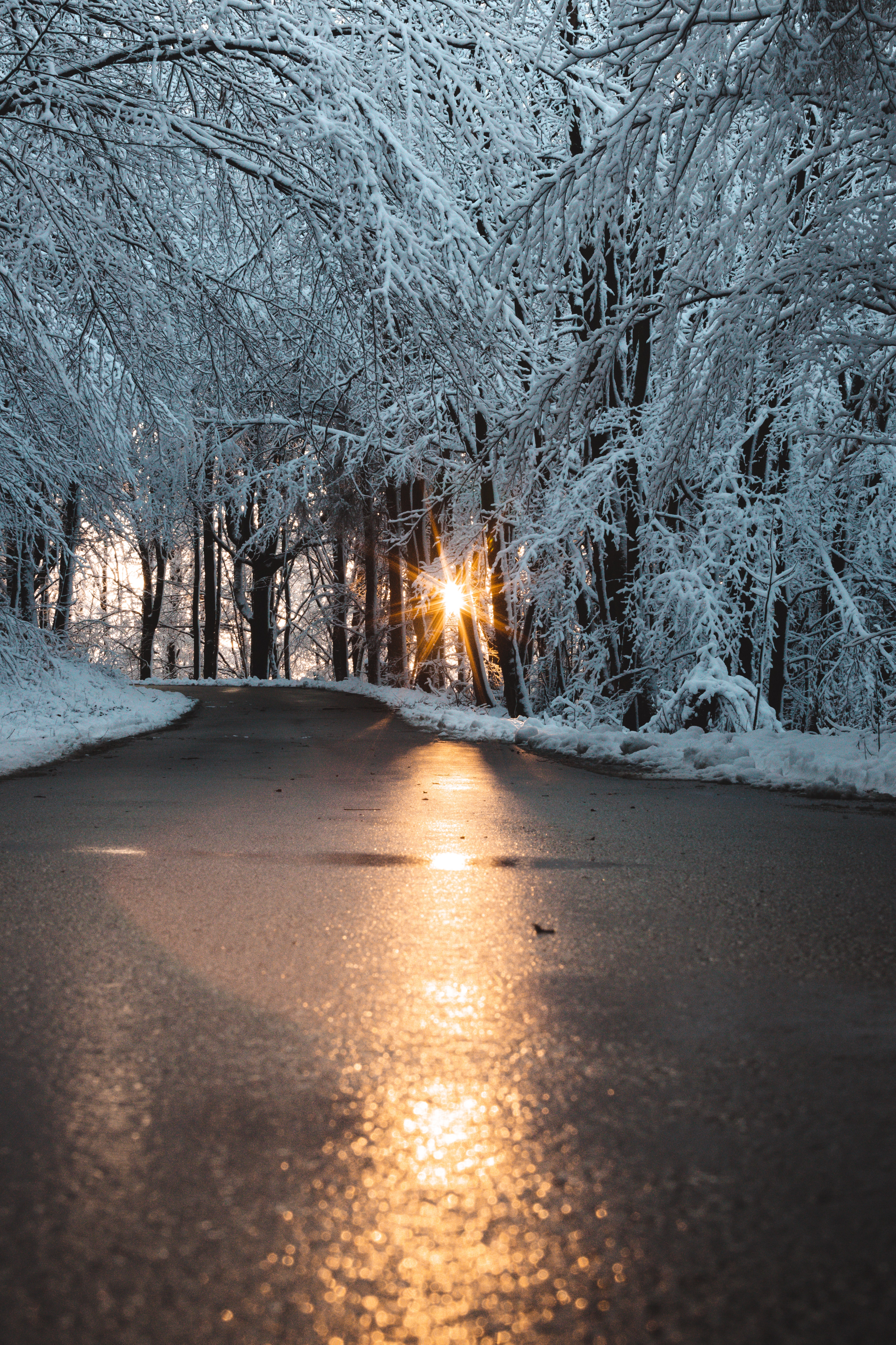 Descargar fondos de escritorio de Invierno HD