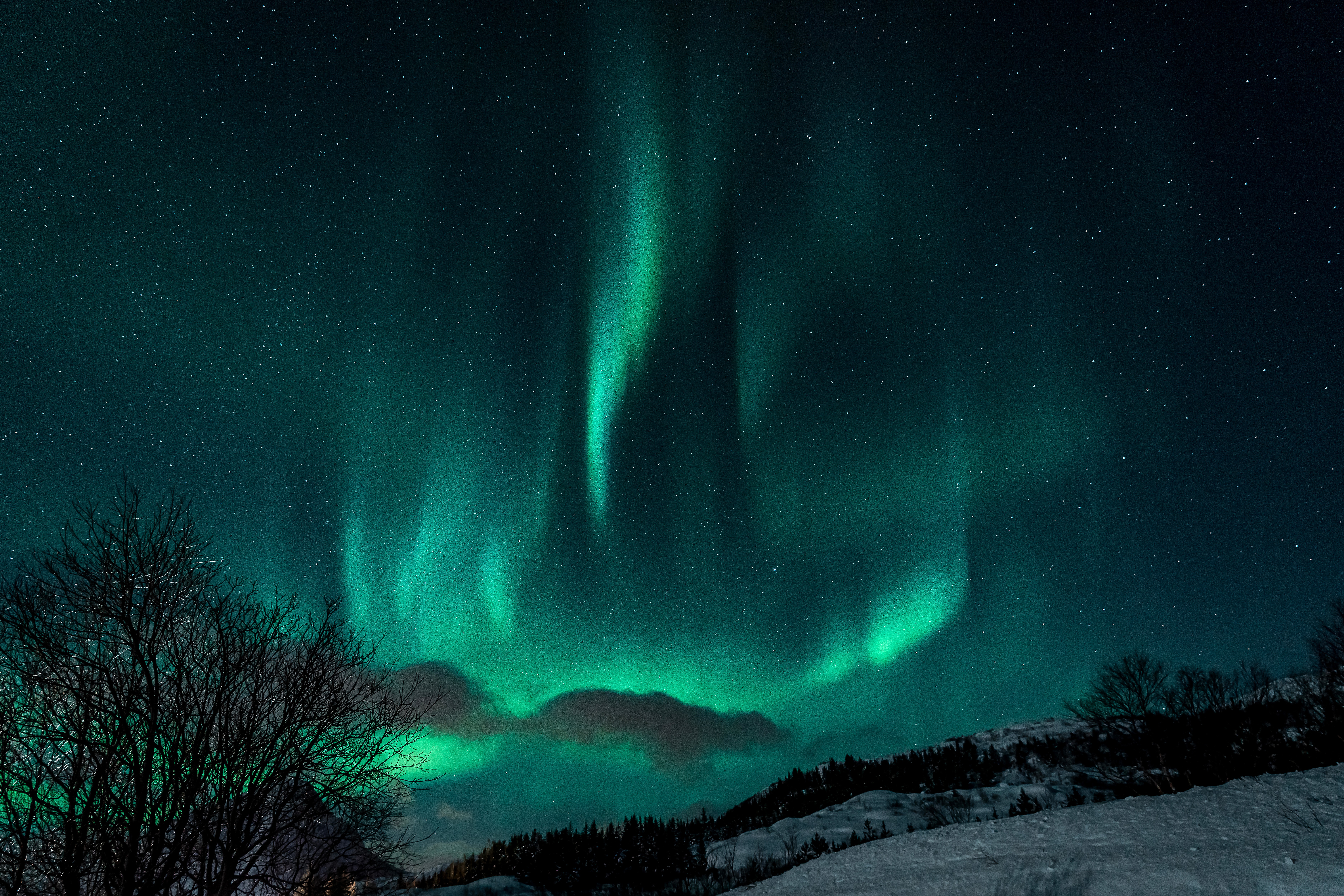 117542 télécharger l'image aurore boréale, nature, sombre, aurores boréales, neige, hiver, nuit - fonds d'écran et économiseurs d'écran gratuits