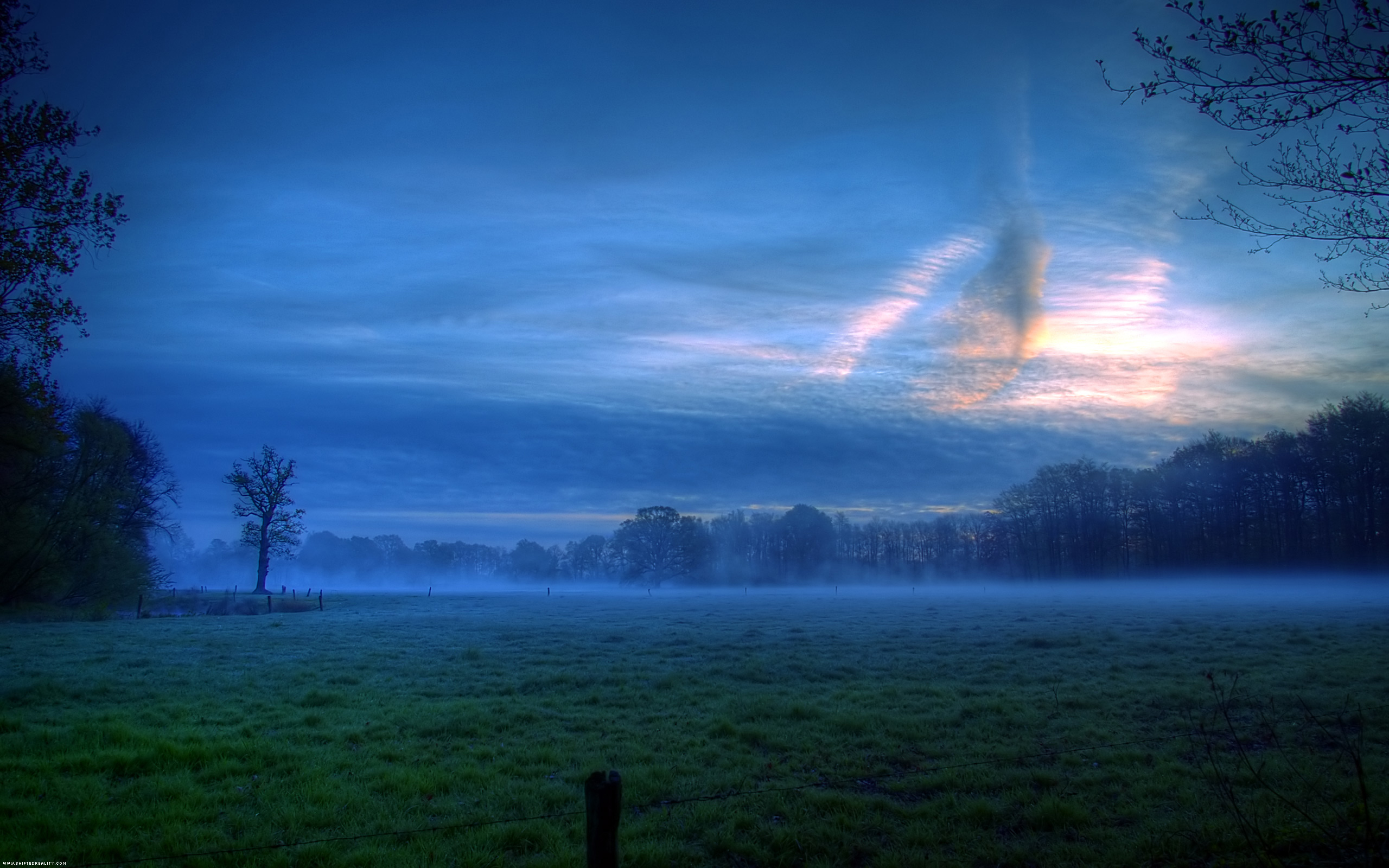 167576 télécharger l'image brouillard, crépuscule, vert, nuage, terre/nature, champ, arbre - fonds d'écran et économiseurs d'écran gratuits