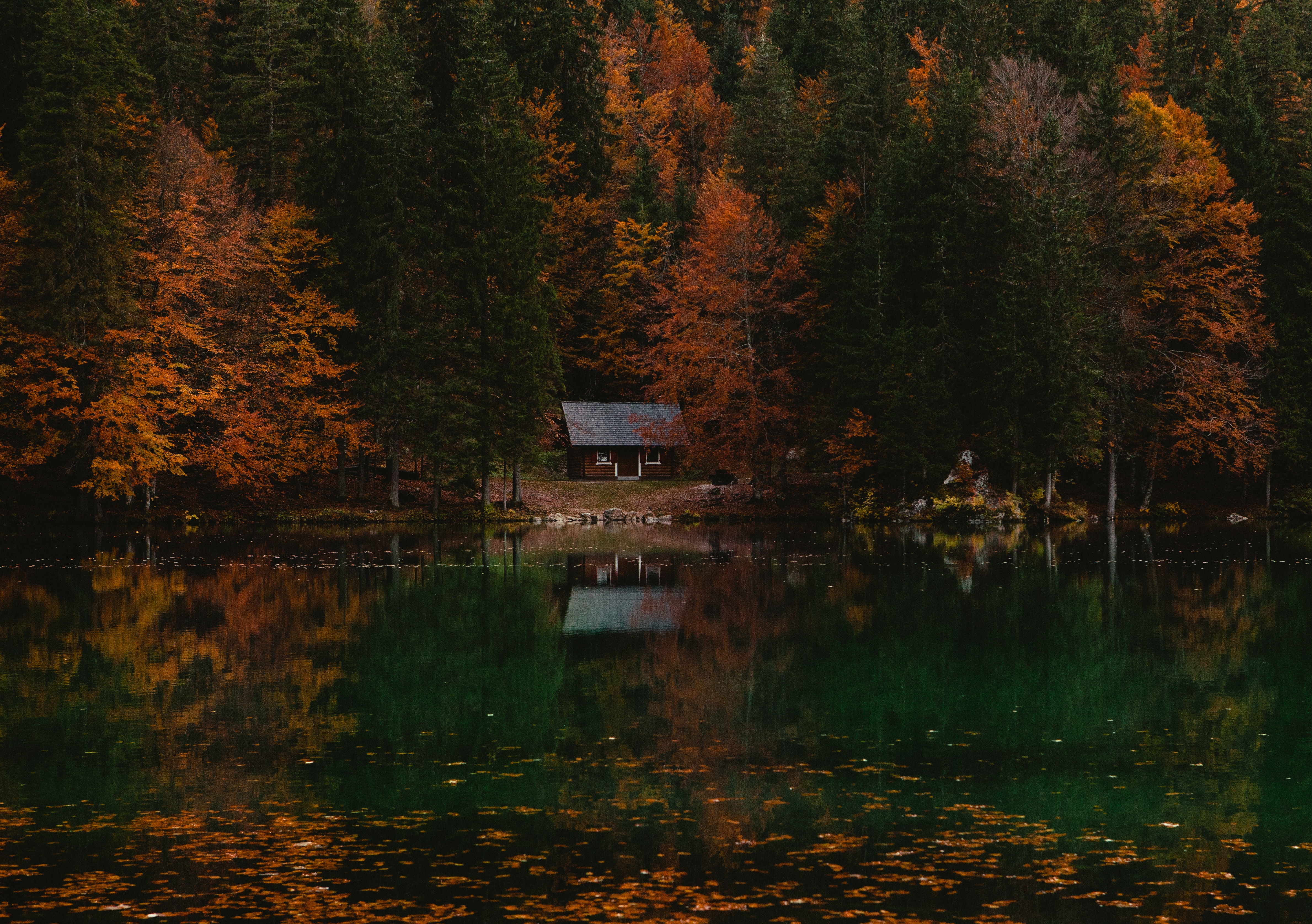 73937 Fondos de pantalla e Lago imágenes en el escritorio. Descarga protectores de pantalla  en tu PC gratis