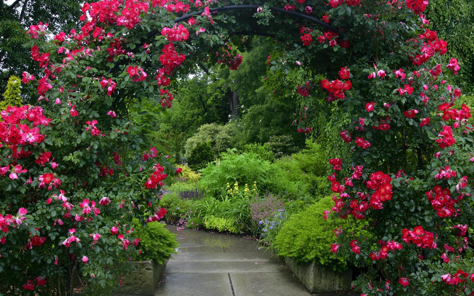 534139 télécharger le fond d'écran fleur rouge, chemin, rose, jardin, construction humaine, arche, fleur, rose rouge, rosier - économiseurs d'écran et images gratuitement