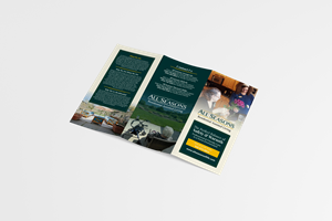 Brochure Design by barinix