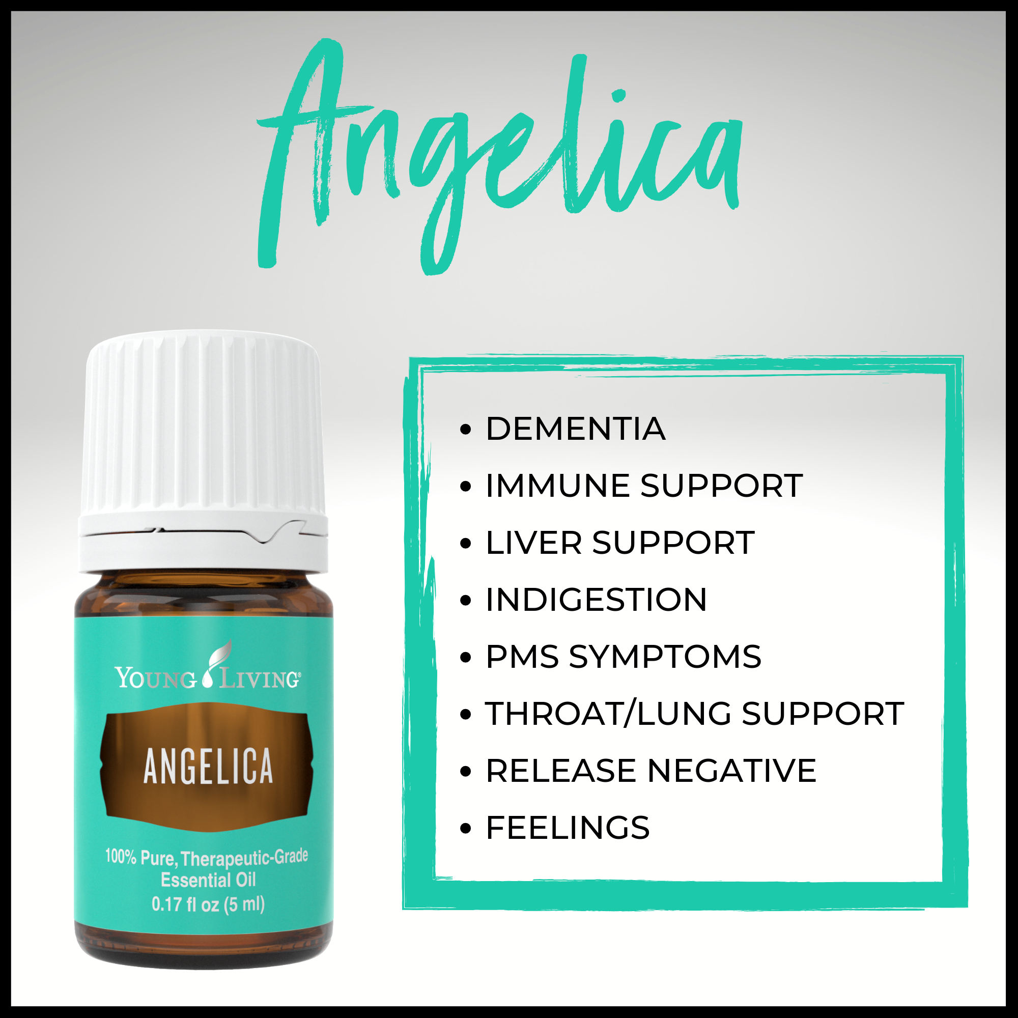 Angelica