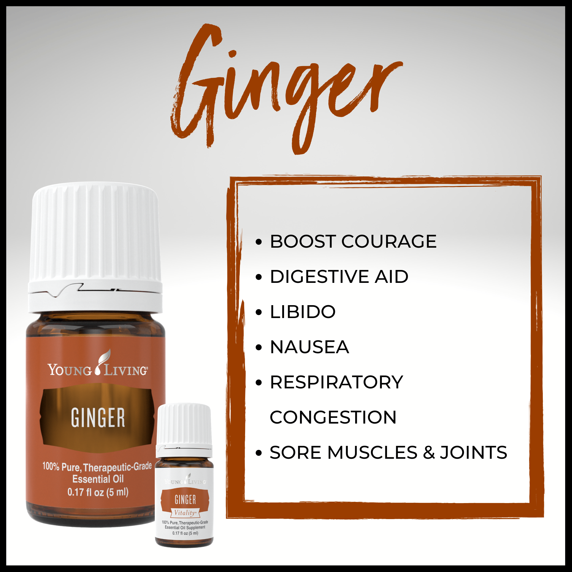 Ginger