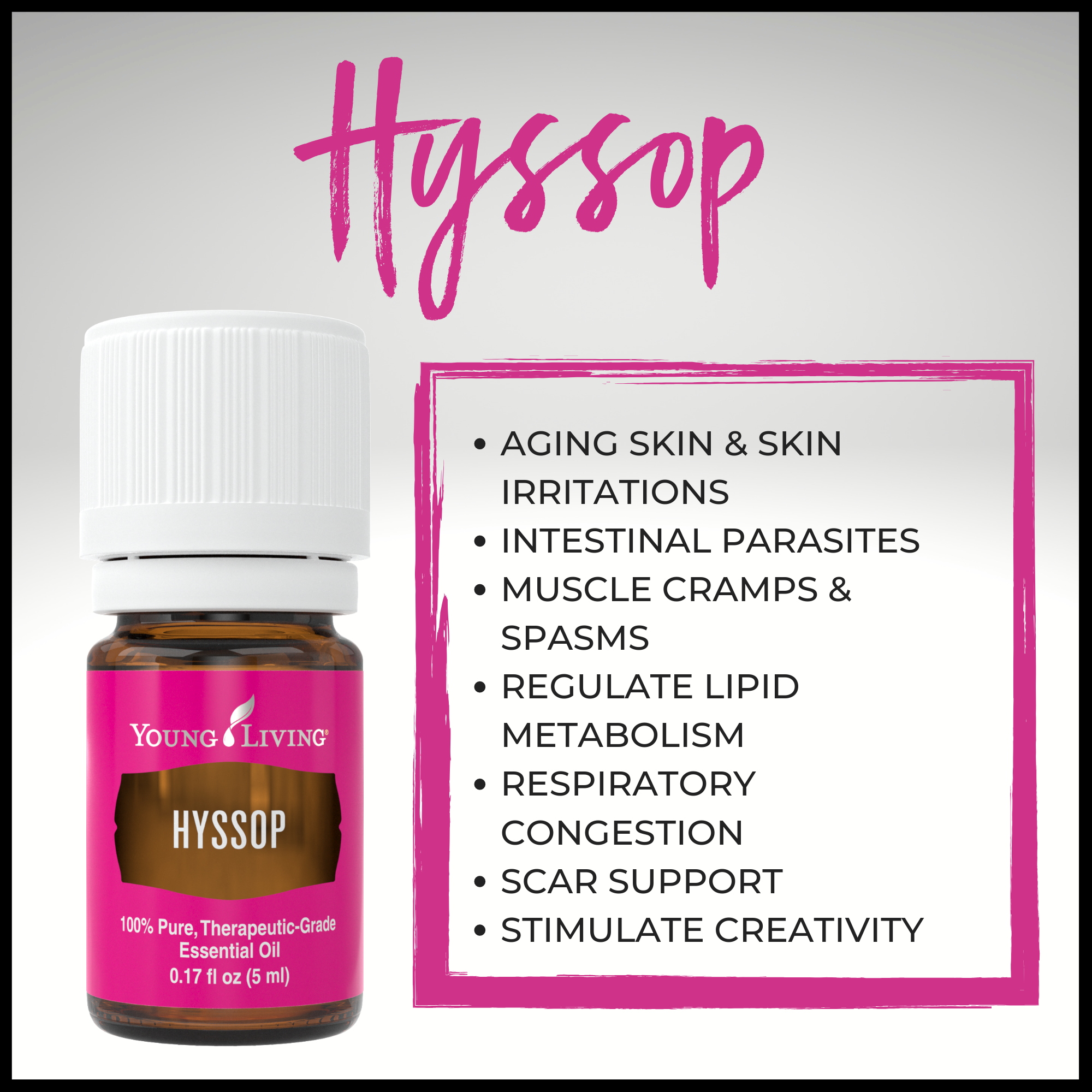 Hyssop