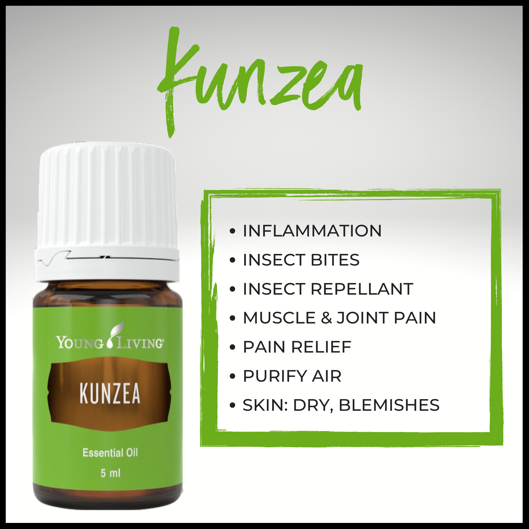 Kunzea