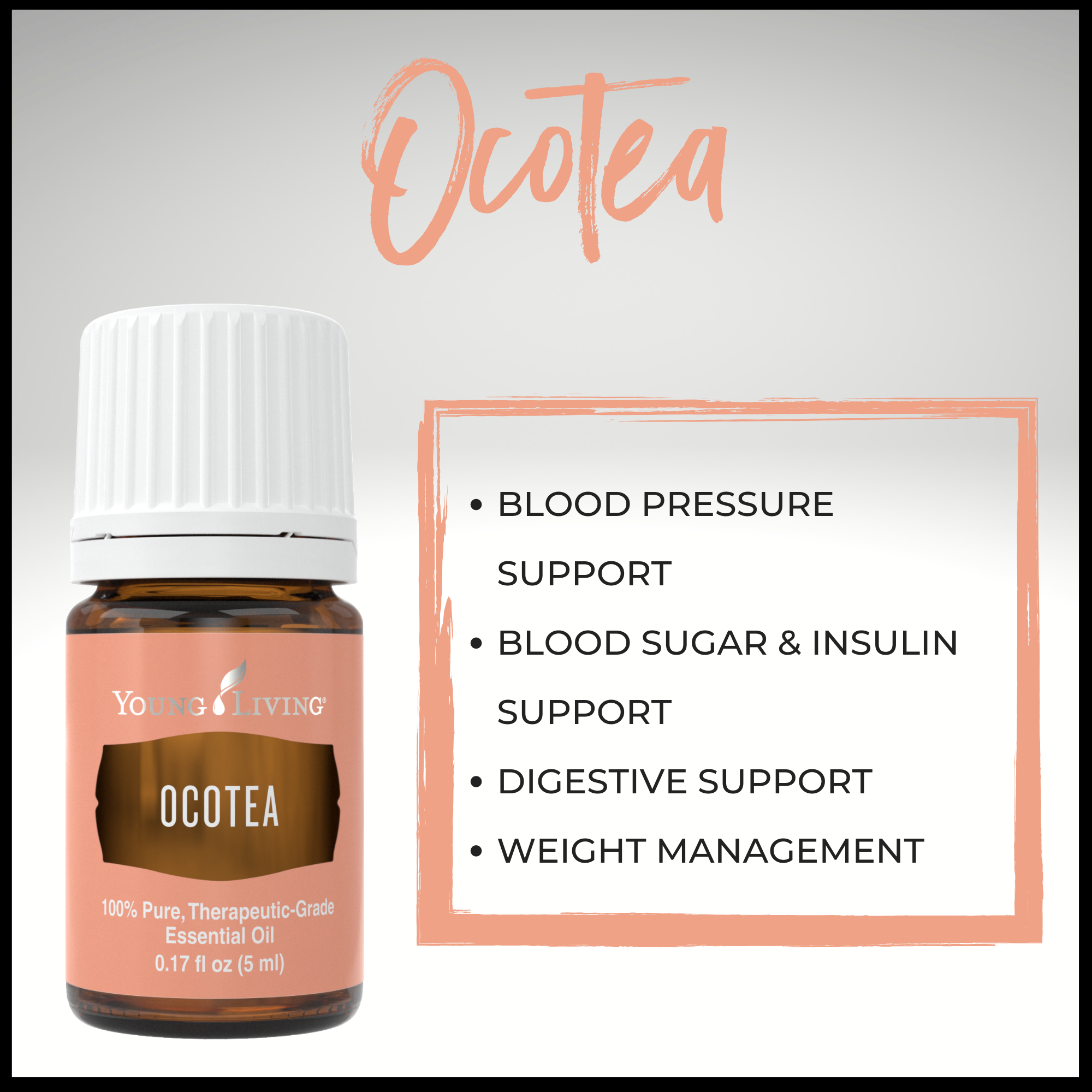 Ocotea