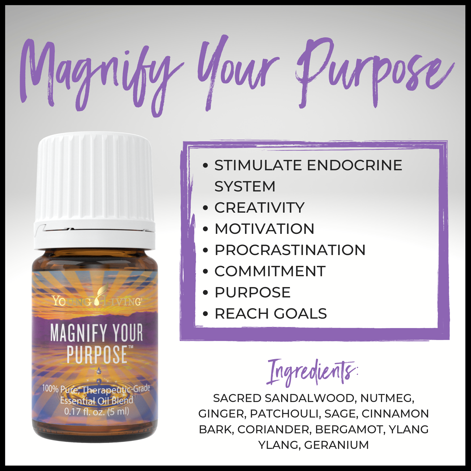 Magnify Your Purpose