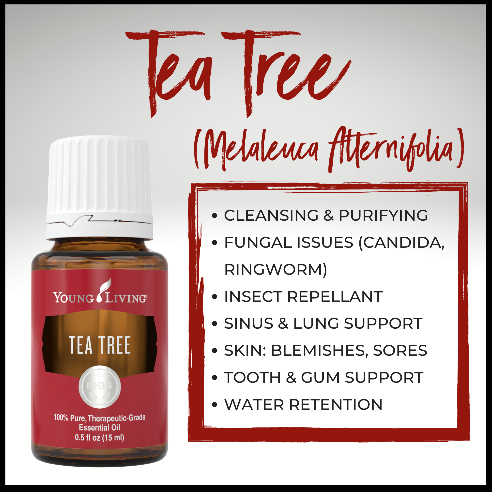 Tea Tree