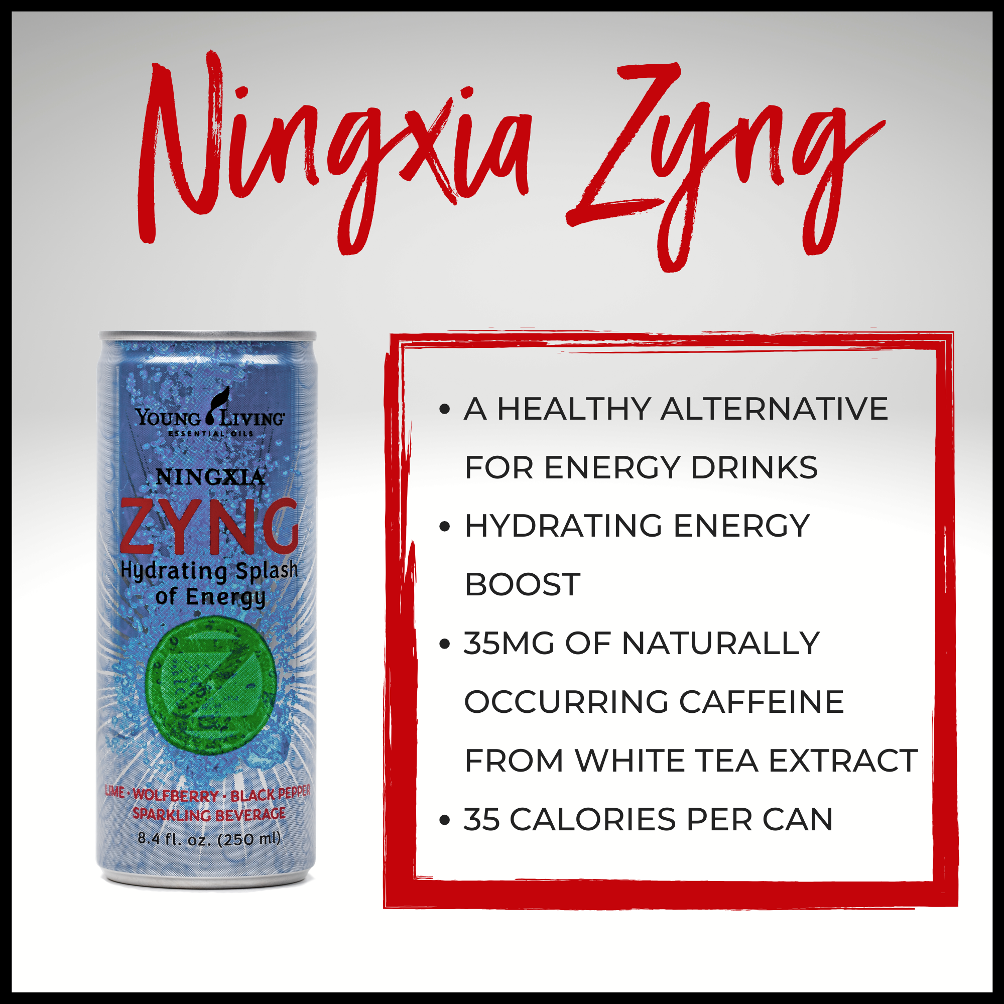 Ningxia Zyng