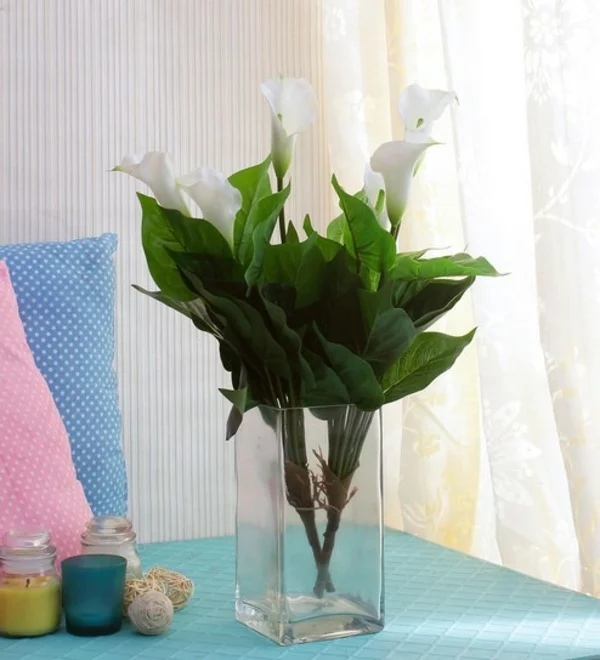 Calla Blume Zimmercalla Pflege Blumenstrauß