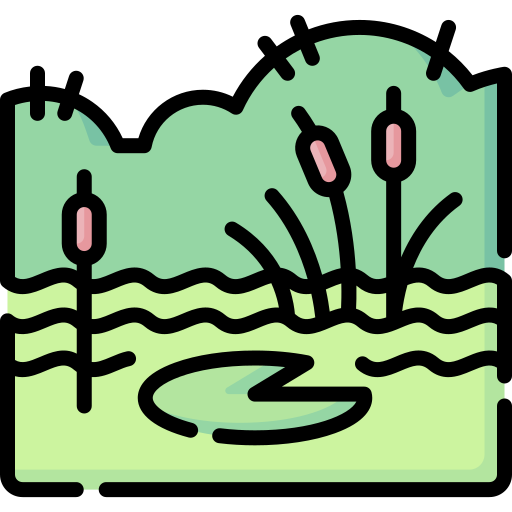 Swamp Special Lineal color icon