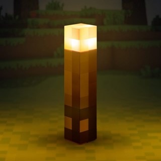 Minecraft Torch Light