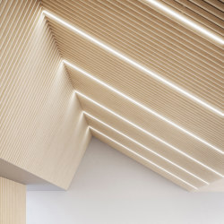 Illuminated ceiling systems | Ceiling