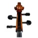 Eastman Master Cello Outfit with Gold Level Set Up