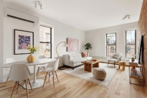 living room in Park Slope penthouse