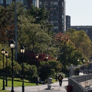 Image of Roosevelt Island