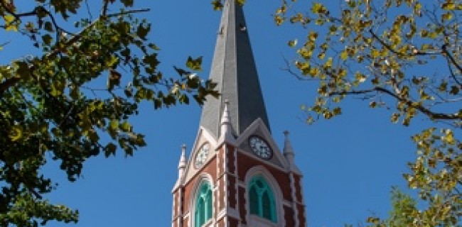 Trees Church Steeple Carroll Gardens