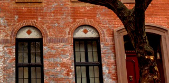 West Village Window Boxes