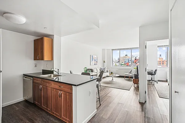 229 Chrystie Street #606E