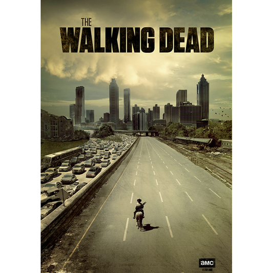 The Walking Dead Season 1 Key Art Sherpa Blanket-1