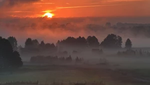 Jak powstaje mgła i kiedy w Polsce pojawia się najczęściej?