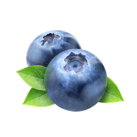 Blueberry PNG Category