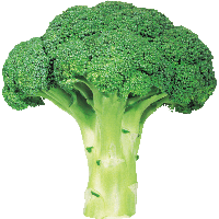 Broccoli PNG Category