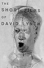 The Short Films of David Lynch