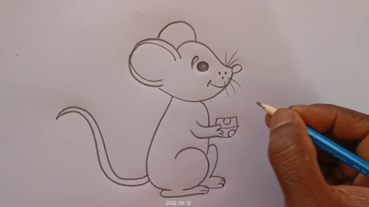 how to draw rat drawing rat drawing easy - YouTube