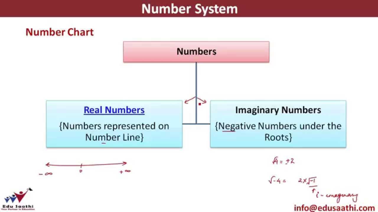 Classification Of Numbers Chart